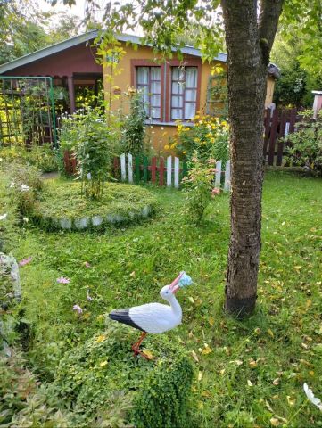 Działka rod Olecko. Zdjęcie 1