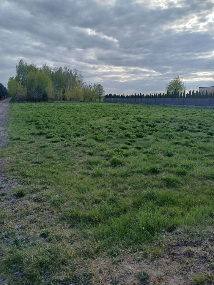 Działka budowlana Maków Mazowiecki, ul. Długa. Zdjęcie 5