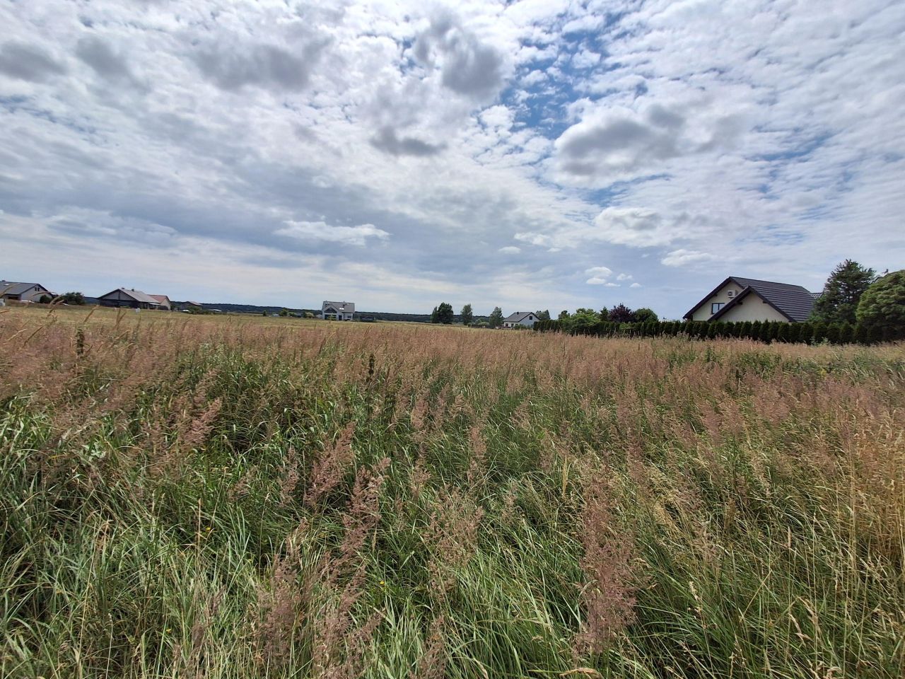Działka rolna Dobra, ul. Czajki. Zdjęcie 8