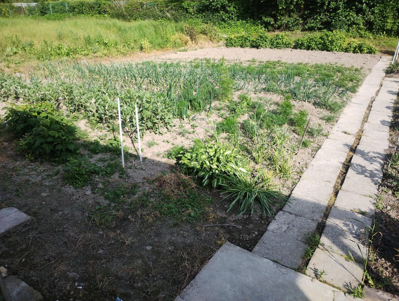 Działka rod Zamość Zamczysko, ul. Żdanowska. Zdjęcie 8