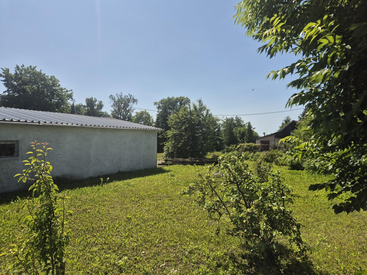 Działka siedliskowa Rychliki. Zdjęcie 16