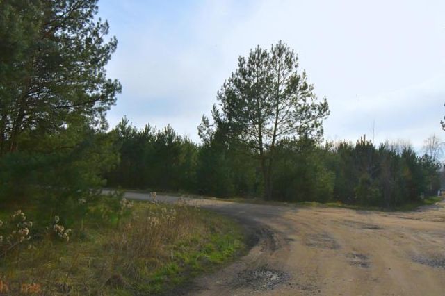 Działka budowlana Miłoszyce, ul. Bzowa. Zdjęcie 6