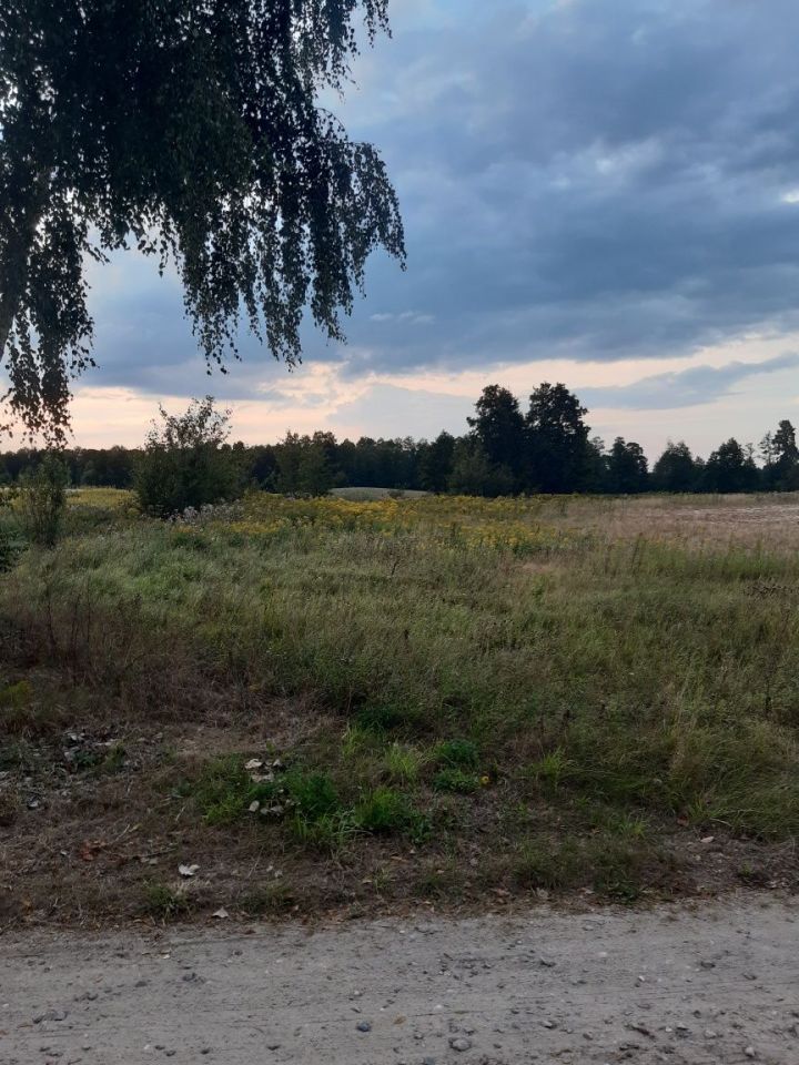 Działka budowlana Łochocin. Zdjęcie 5