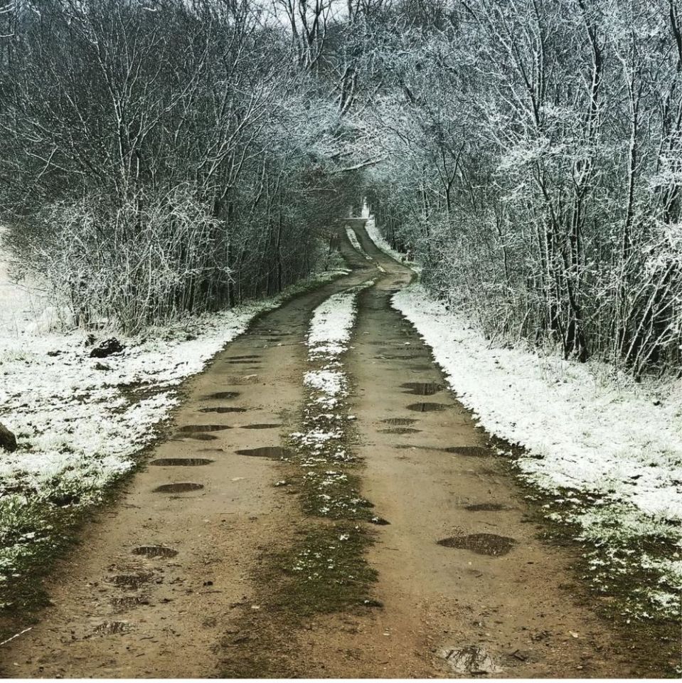 Działka siedliskowa Brzozowica. Zdjęcie 2