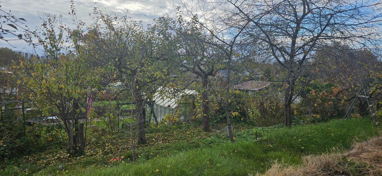 Działka rod Iława. Zdjęcie 4