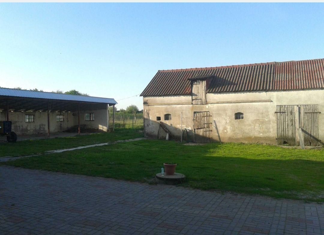 dom wolnostojący, 6 pokoi Ignackowo. Zdjęcie 5