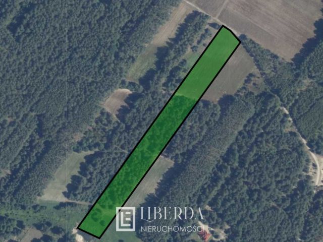 Działka rolna Kąty-Miąski. Zdjęcie 4