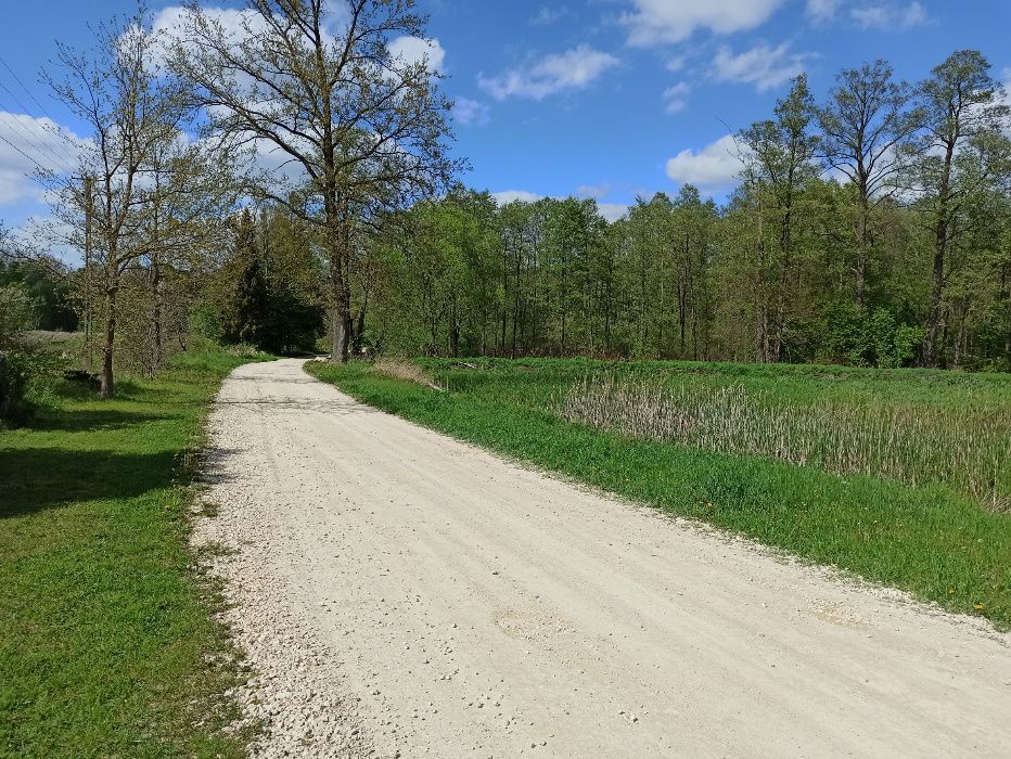 Działka budowlana Zbójno Greszczyn. Zdjęcie 6