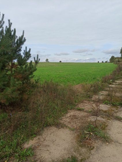 Działka budowlana Szwelice. Zdjęcie 5