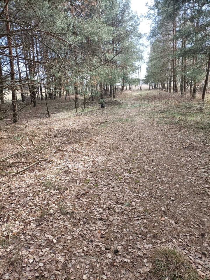 Działka rolna Duńkowice. Zdjęcie 7