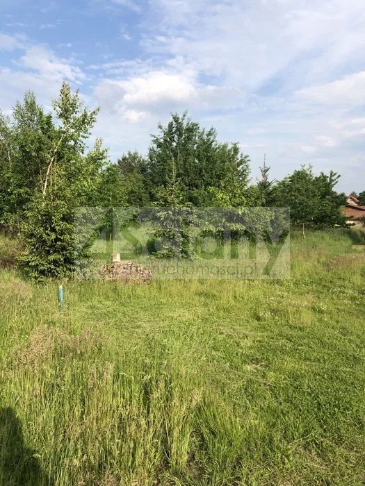 Działka budowlana Adamowizna. Zdjęcie 3