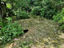 Działka rod Wrocław Krzyki, ul. Józefa Supińskiego. Zdjęcie 2