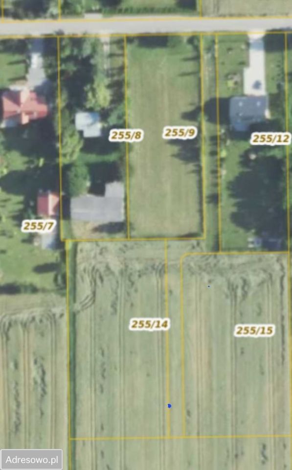 Działka budowlana Jabłonna Pierwsza. Zdjęcie 3