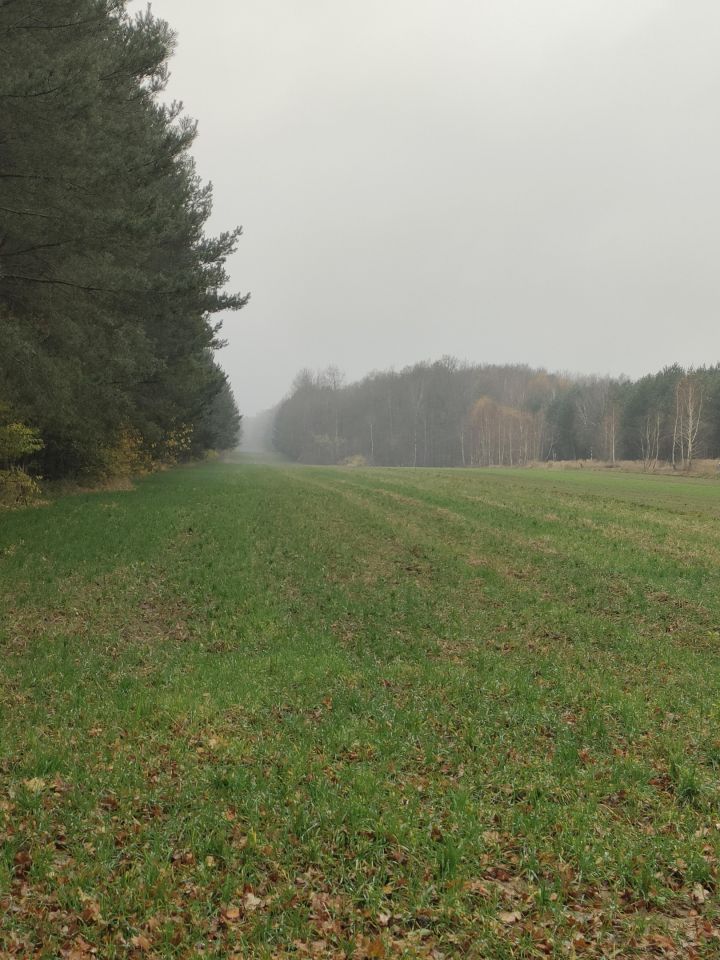 Działka rolna Jasionna. Zdjęcie 4