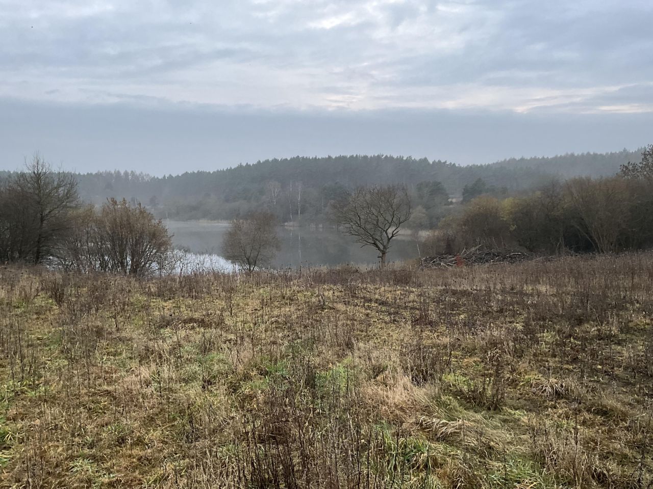 Działka budowlana Kołczewo, ul. Bałtycka. Zdjęcie 2