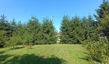 Działka rolno-budowlana Horodło, ul. Królowej Jadwigi