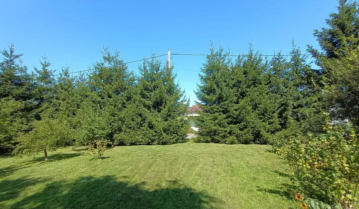 Działka rolno-budowlana Horodło, ul. Królowej Jadwigi