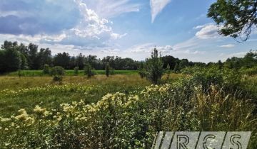 Działka budowlana Pławnica