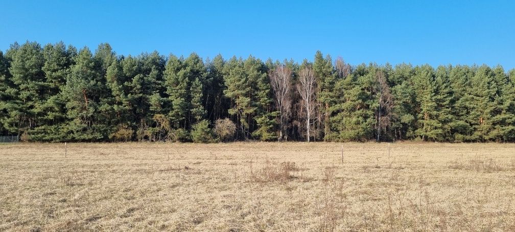 Działka rolno-budowlana Nowa Niedrzwica. Zdjęcie 3