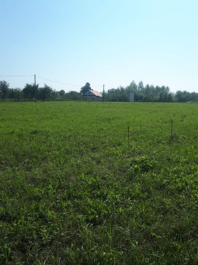 Działka rolna Tarnobrzeg Wielowieś, ul. Nowa. Zdjęcie 6