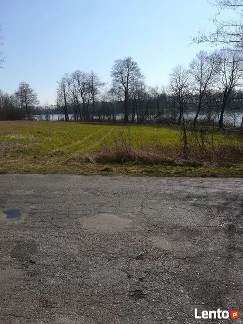 Działka rolna Kaszewo. Zdjęcie 10