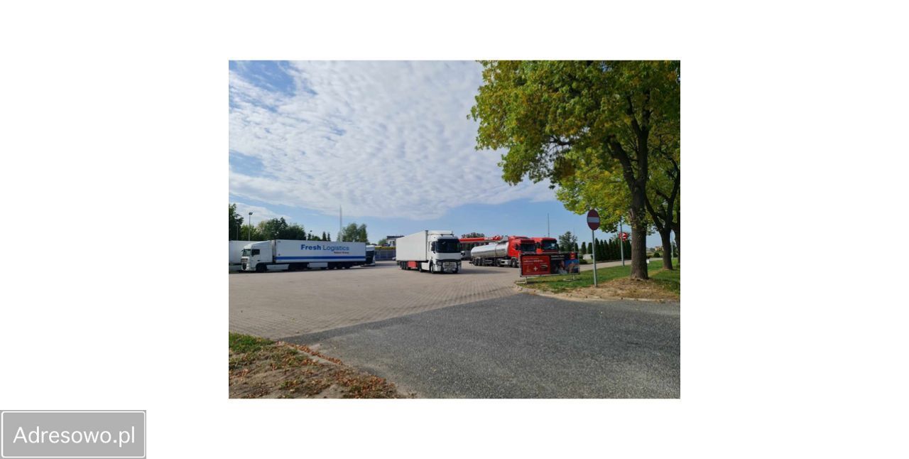 Lokal Bieniewo-Parcela. Zdjęcie 8