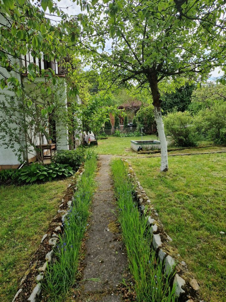 Działka rod Szczecin Bukowe. Zdjęcie 7