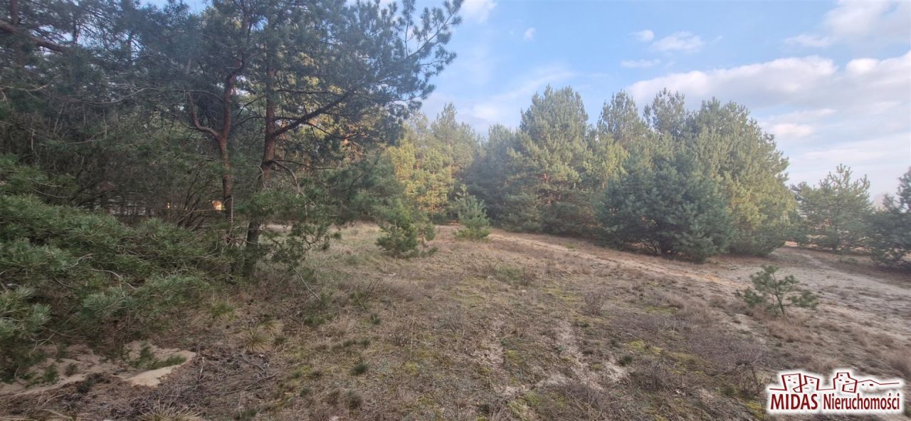 Działka budowlana Kowal. Zdjęcie 7