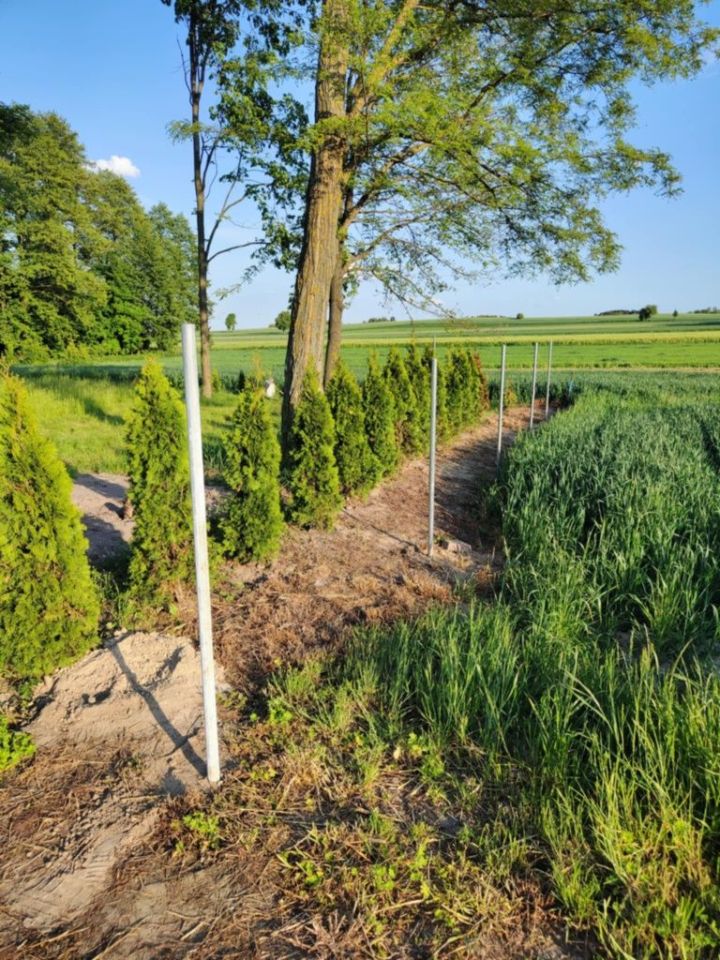 Działka rolno-budowlana Koziołki. Zdjęcie 8