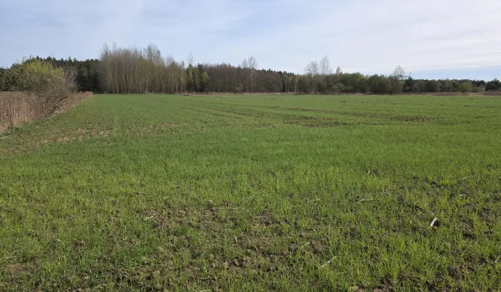 Działka rolna Krzemienica Górki