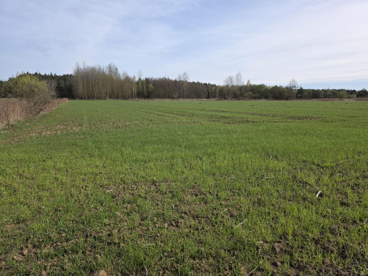 Działka rolna Krzemienica Górki. Zdjęcie 1