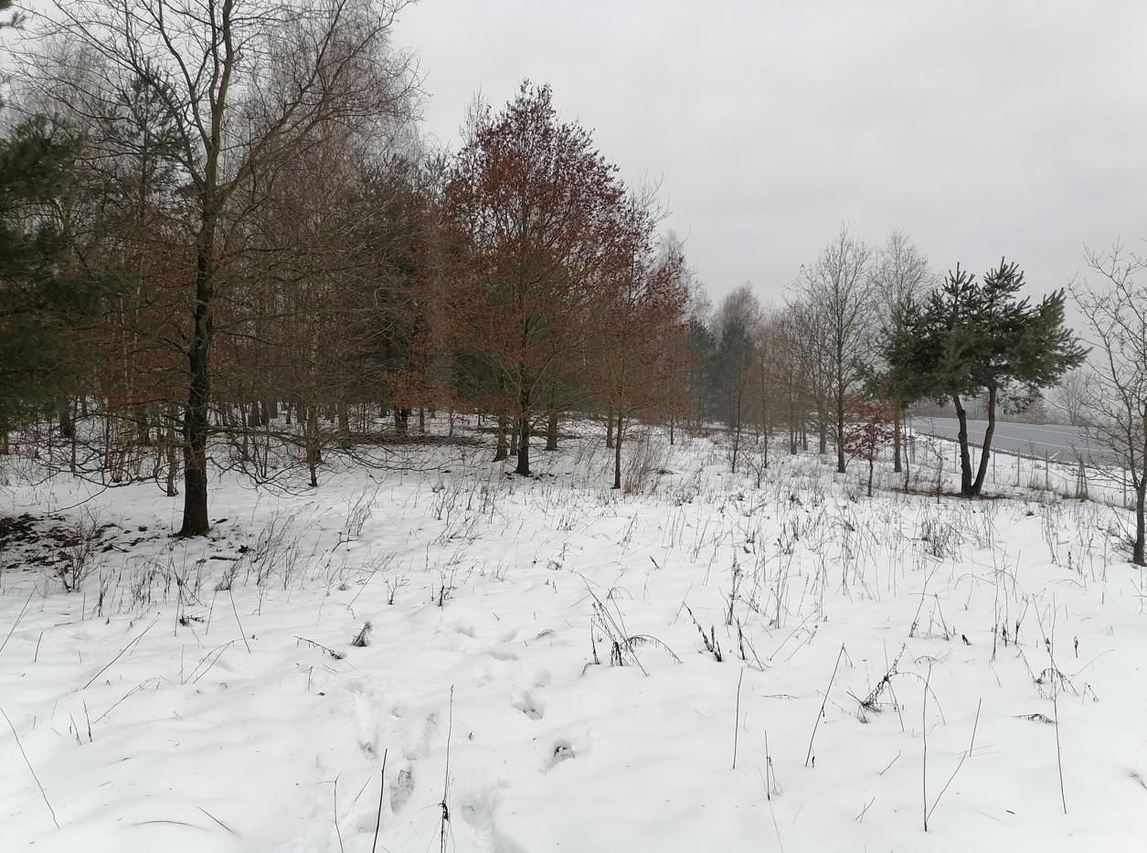 Działka budowlana Łódź Górna, ul. Bieszczadzka. Zdjęcie 7