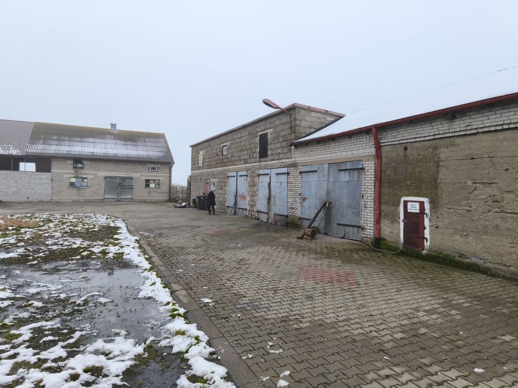 gospodarstwo Lipie. Zdjęcie 6