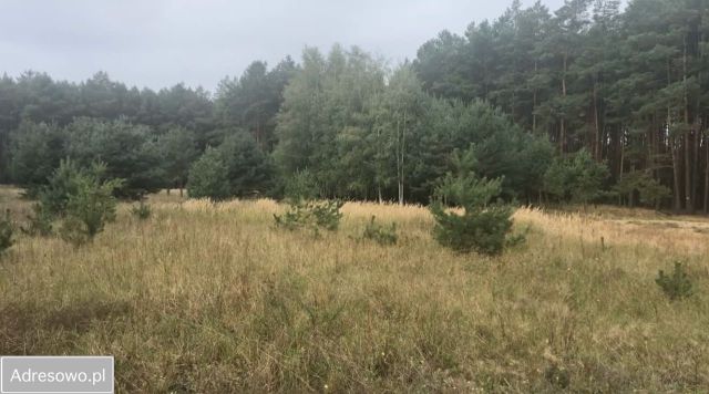 Działka budowlana Nądnia. Zdjęcie 1