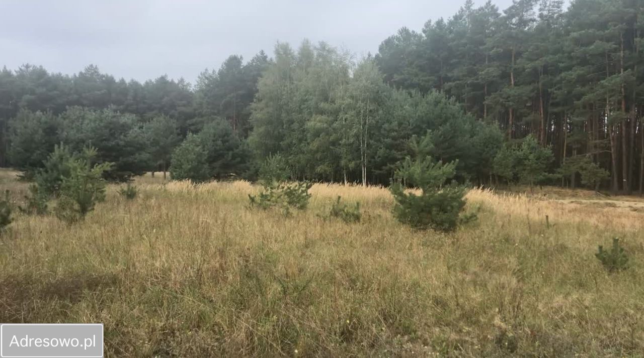 Działka budowlana Nądnia. Zdjęcie 1