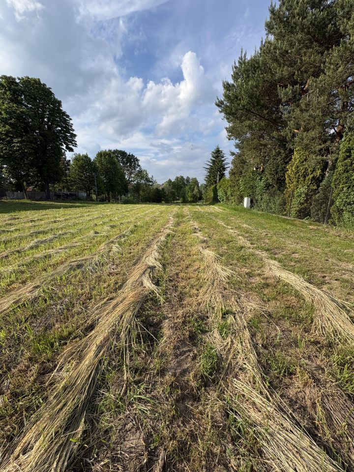 Działka siedliskowa Rączna. Zdjęcie 3