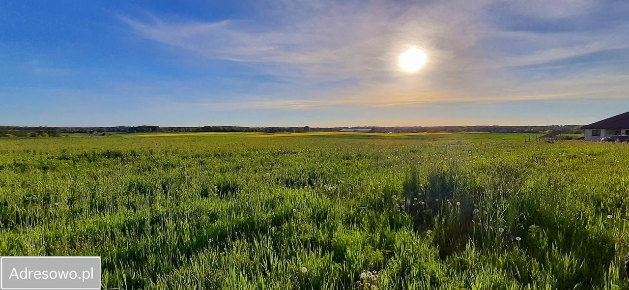 Działka budowlana Szałkowo. Zdjęcie 7