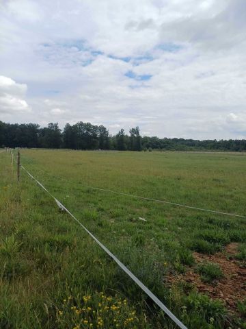 Działka budowlana Trzebicz Nowy. Zdjęcie 1