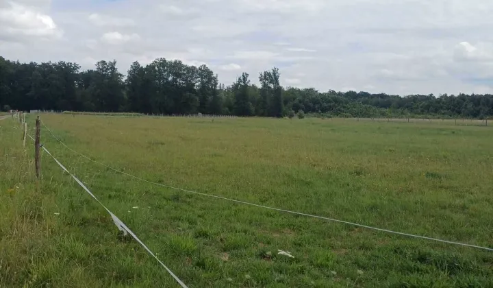 Działka budowlana Trzebicz Nowy