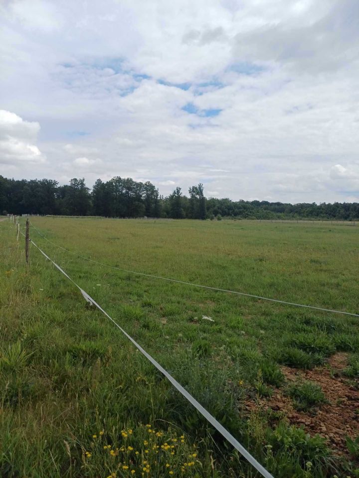 Działka budowlana Trzebicz Nowy