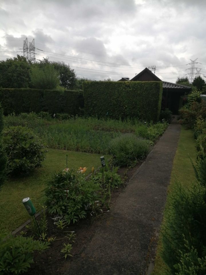 Działka rod Bełchatów. Zdjęcie 6