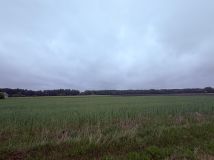 Działka budowlana Węgrów Nowiny, Miodowa. Zdjęcie 2