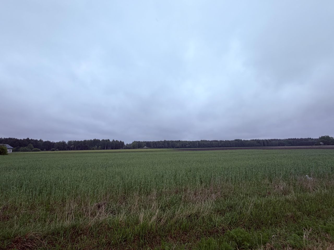 Działka budowlana Węgrów Nowiny, Miodowa. Zdjęcie 3