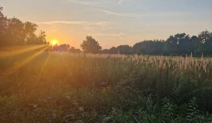 Działka budowlana Zagościniec