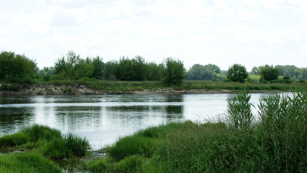 Działka budowlana Wygoda Smoszewska. Zdjęcie 10