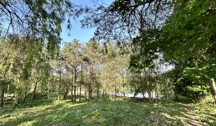 Działka rolno-budowlana Małe Leźno