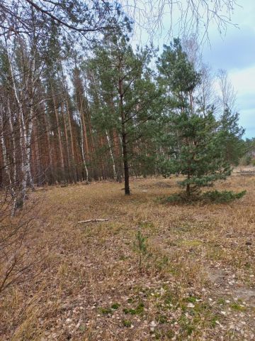 Działka budowlana Czarne Błoto, ul. Makowa. Zdjęcie 1