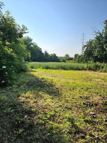 Hala/magazyn Racibórz Płonia, ul. Sudecka. Zdjęcie 5