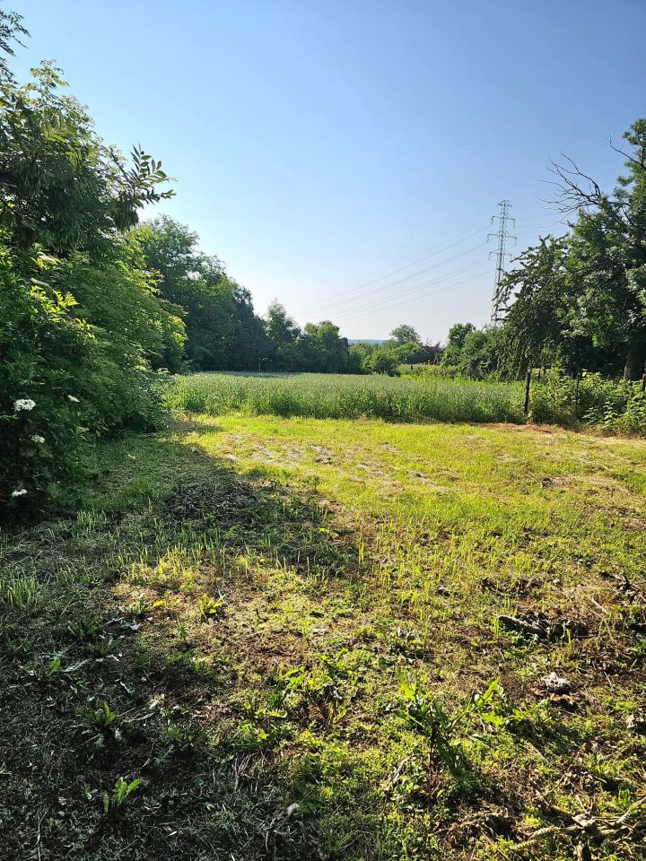 Hala/magazyn Racibórz Płonia, ul. Sudecka. Zdjęcie 5