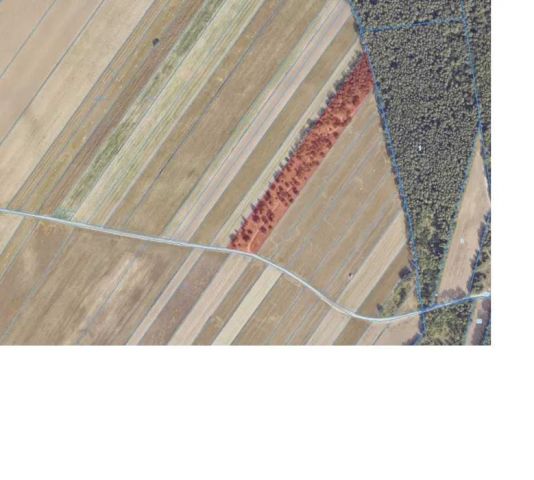 Działka inwestycyjna Kraśnica. Zdjęcie 1